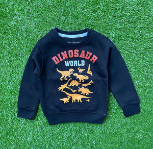 DINO-Black Winter Explorer" Boys' Winter Sweatshirt