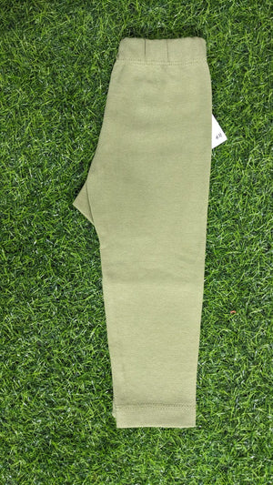Light dull Green Colour Winter Tight