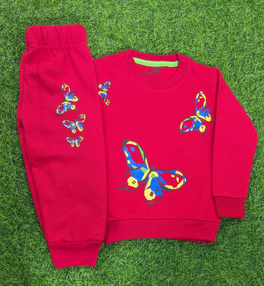 Beautiful Red Butterfly Winter Set