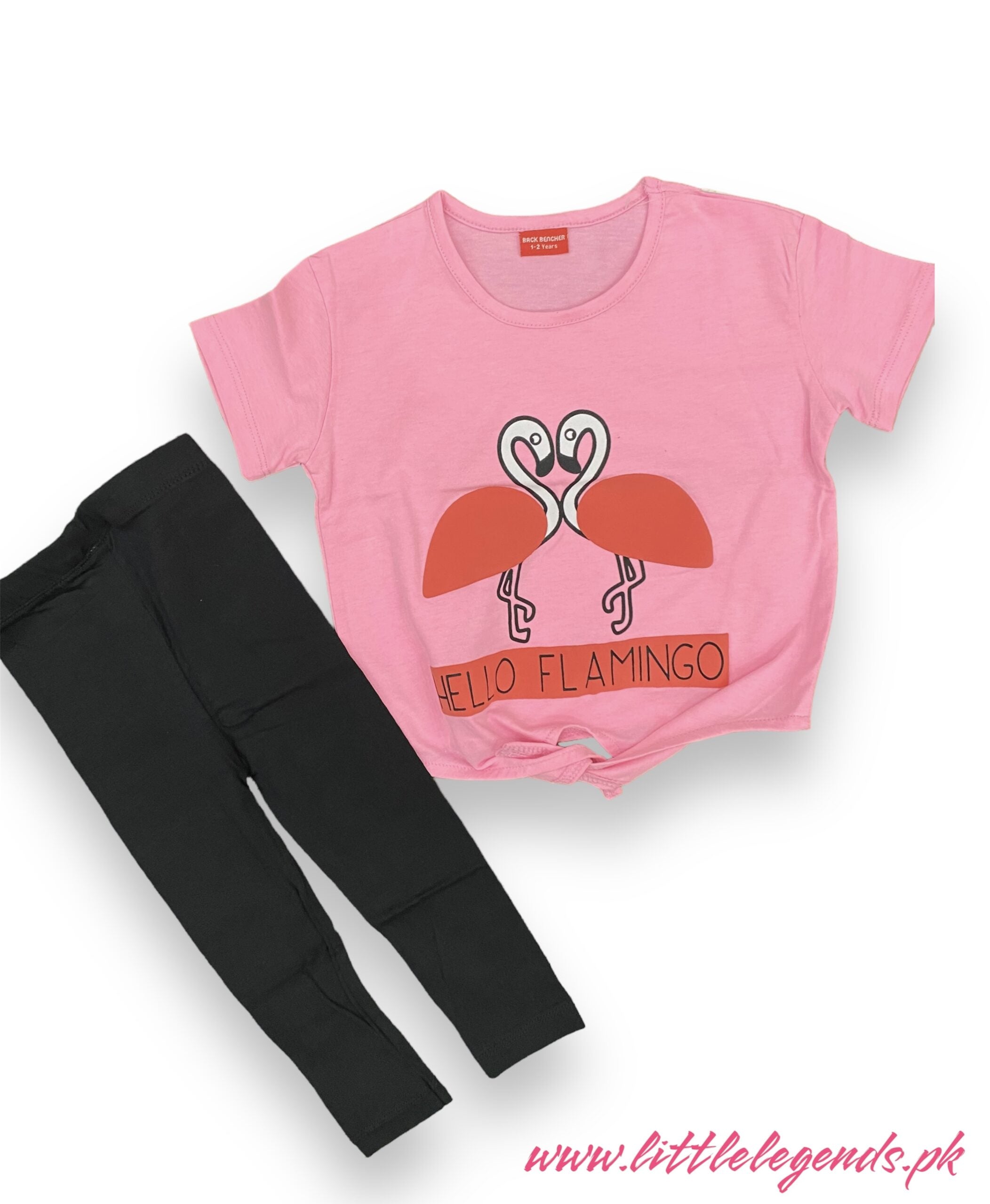 Pink Flamingo Paradise Complete set